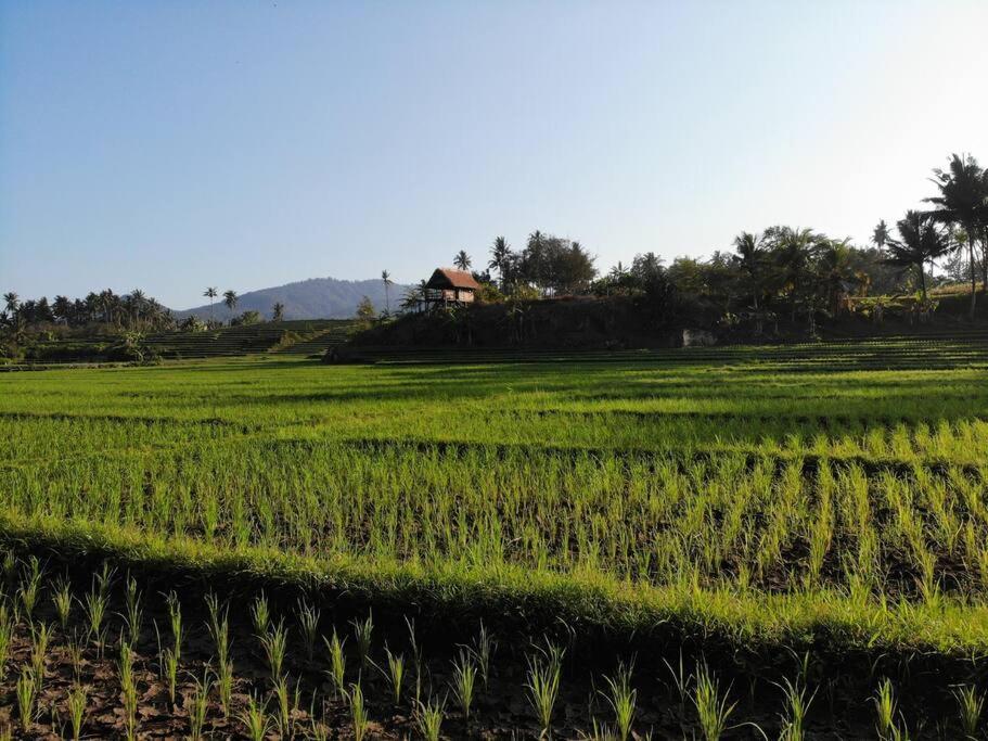 Villa Bali Eco Bali Batu Hut