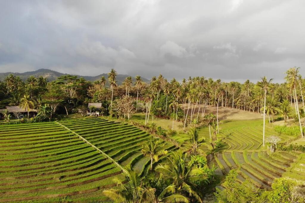 Bali Eco Bali Batu Hut *