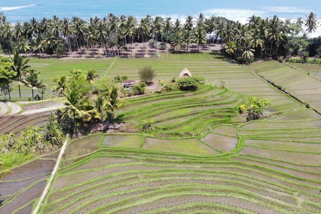 Villa Bali Eco Bali Batu Hut *