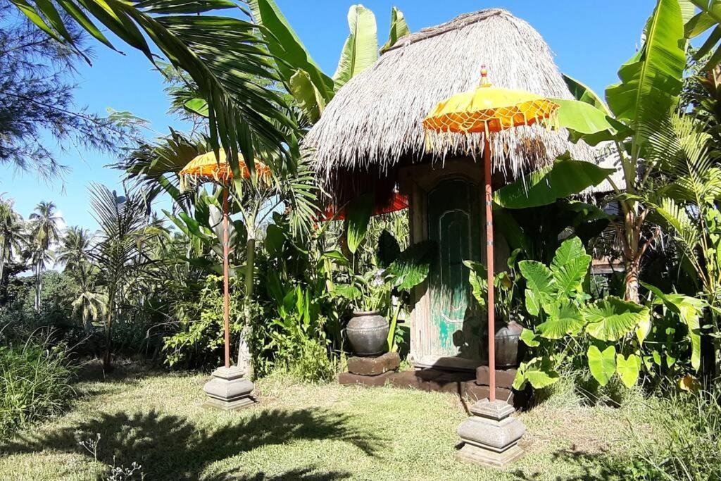 Villa Bali Eco Bali Batu Hut Balian