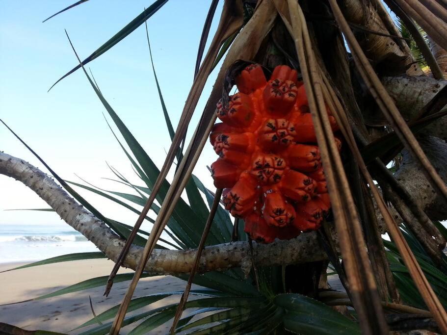 Bali Eco Bali Batu Hut Villa