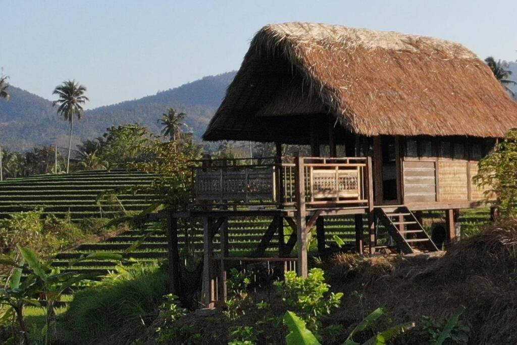 Bali Eco Bali Batu Hut Villa Balian