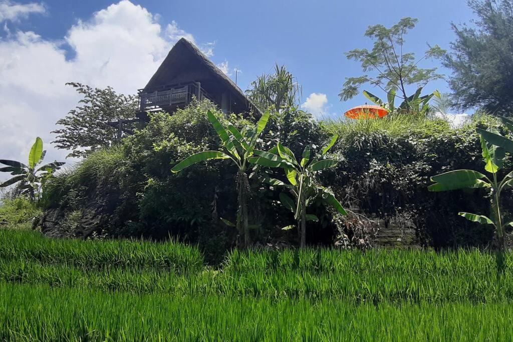 Bali Eco Bali Batu Hut * Balian