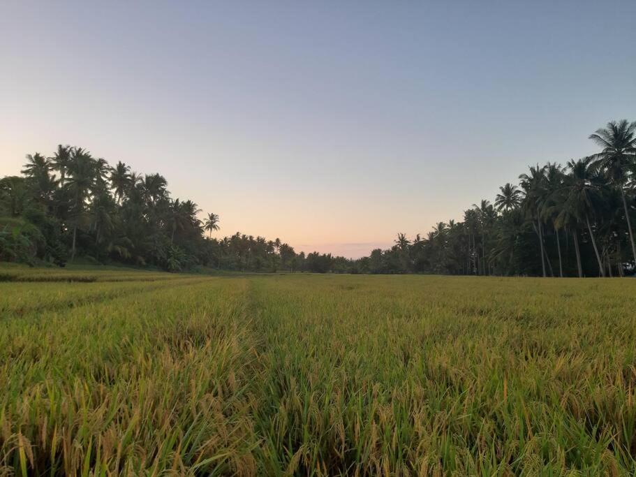 Bali Eco Bali Batu Hut Balian