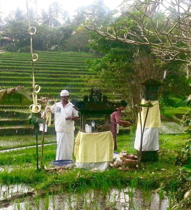 Bali Eco Bali Batu Hut Villa Balian