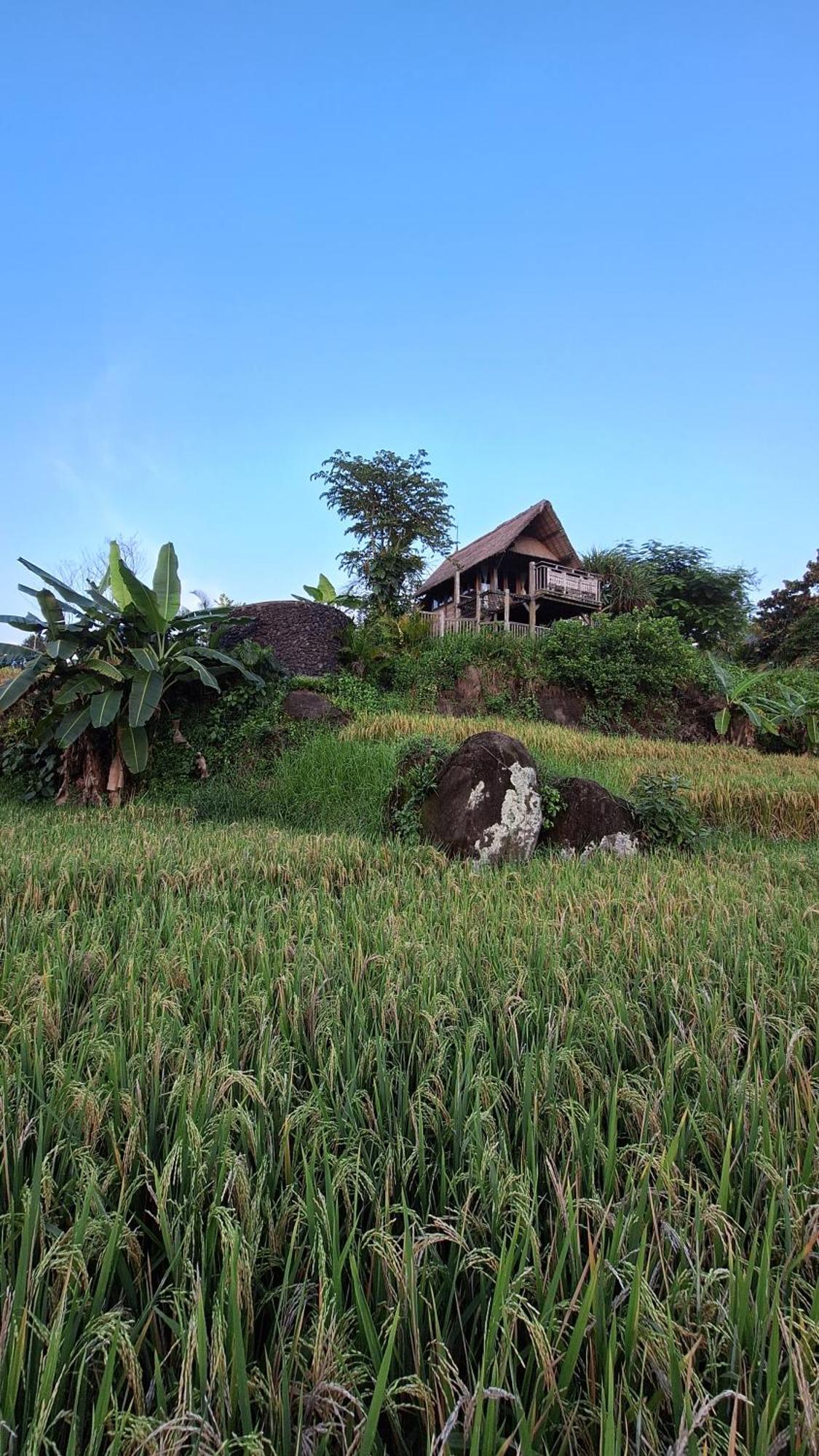 Villa Bali Eco Bali Batu Hut Balian