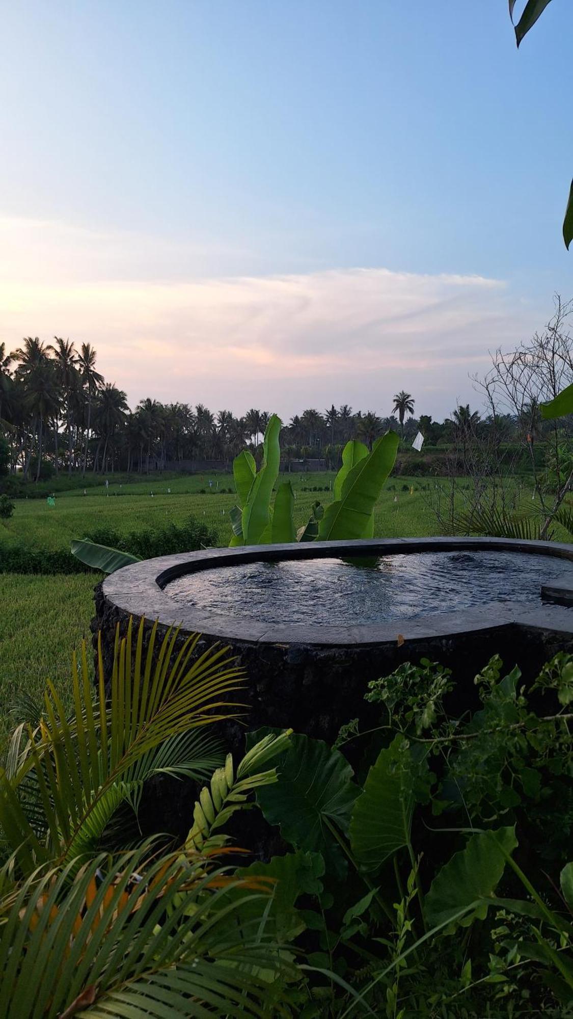 Bali Eco Bali Batu Hut *